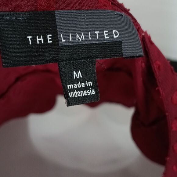 The Limited Women Burgundy Sheer Poka Dot Long Sleeve Top Sz M - Picture 9 of 11